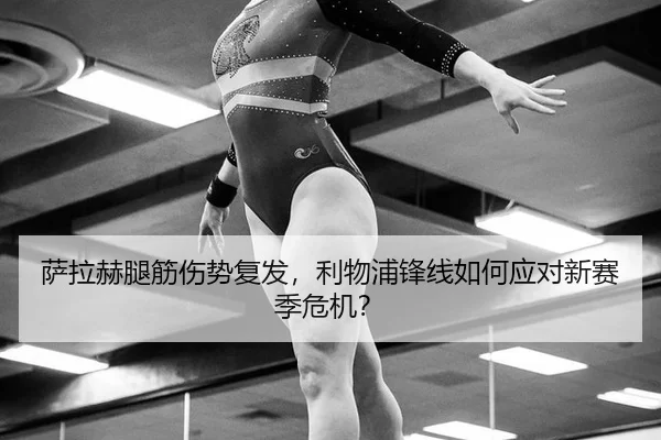 sa-la-he-tui-jin-shang-shi-fu-fa-li-wu-pu-feng-xian-ru-he-ying-dui-xin-sai-ji-wei-ji-1-223.jpg